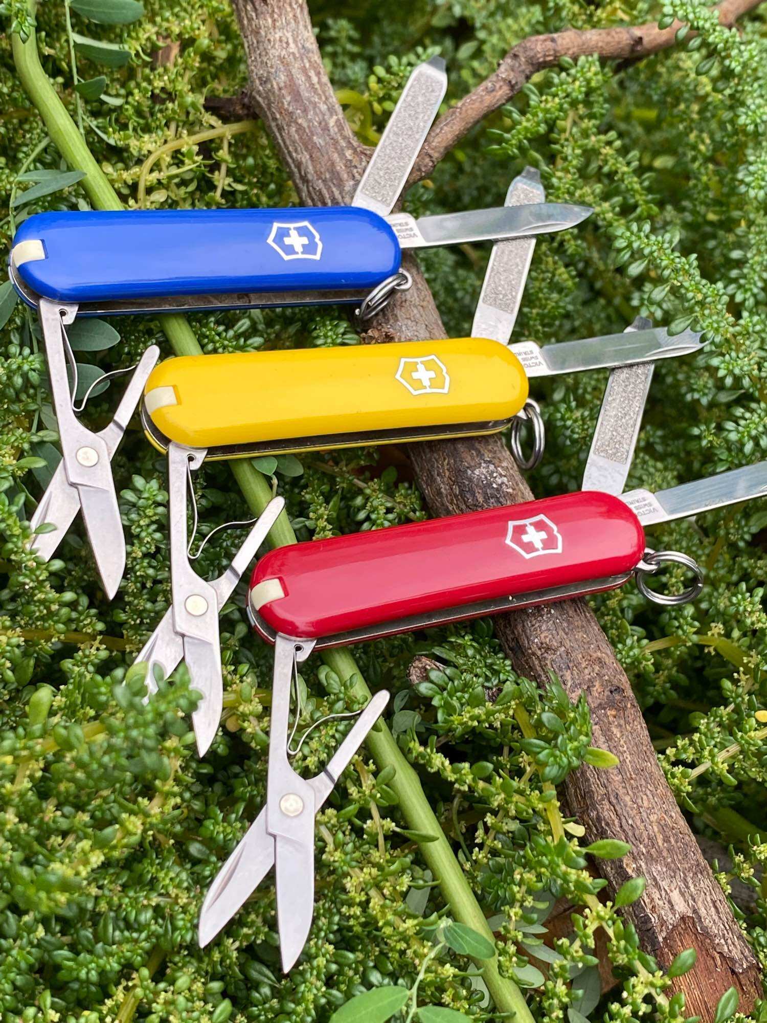 [HCM]Dụng Cụ Đa Năng Victorinox Thụy Sĩ (Classic)