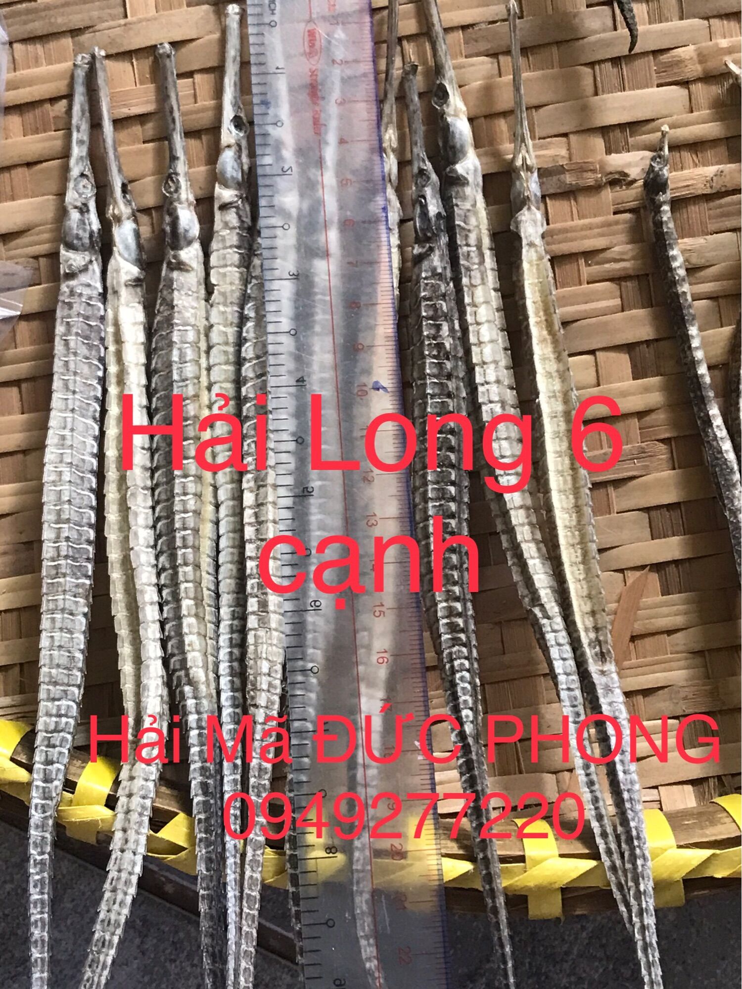 Combo Tu H.ải Lo.ng Vương 950k/ 1 combo (Hai Ma 12-13,5 cm 2 con,…)