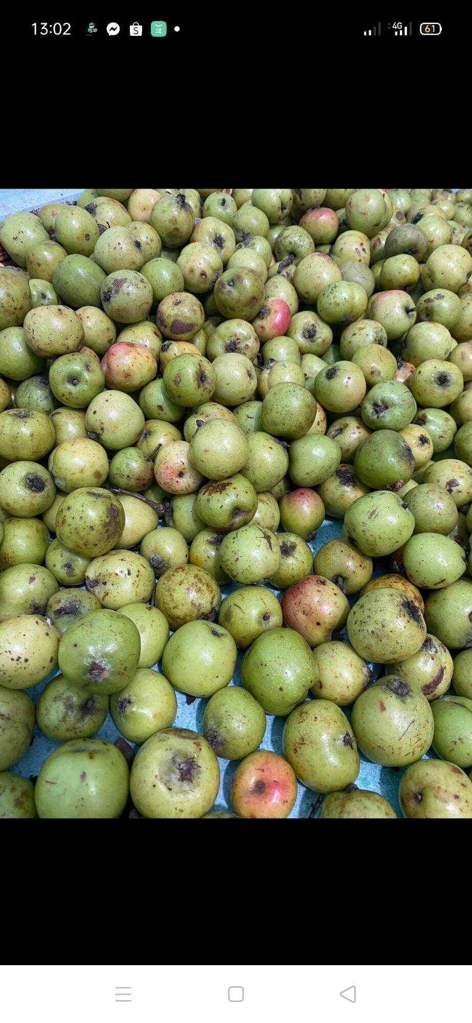 Táo mèo khô tây bắc 500g (5 lạng)