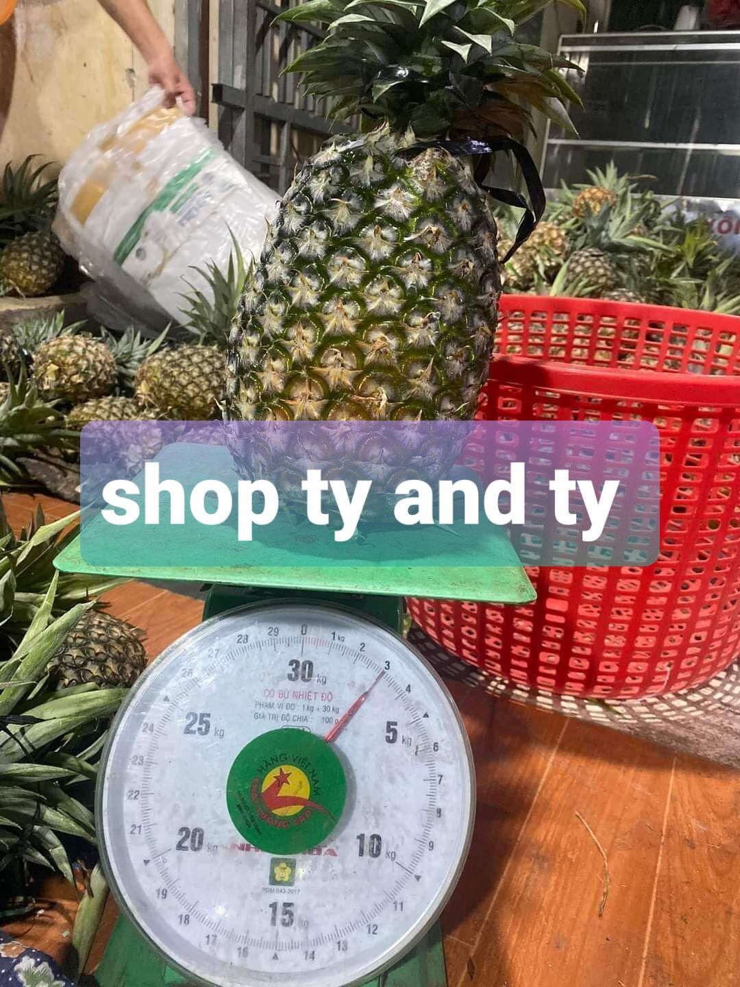 cây thơm mật thái combo 10 cây giống