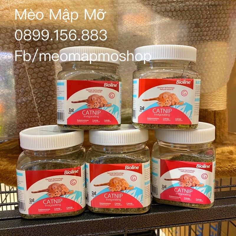Catnip bioline cỏ mèo hủ 20g