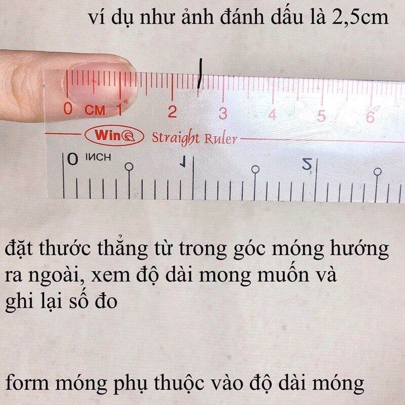Nailbox/Bộ 24 móng úp tay thiết kế sẵn/móng tay giả phối màu be