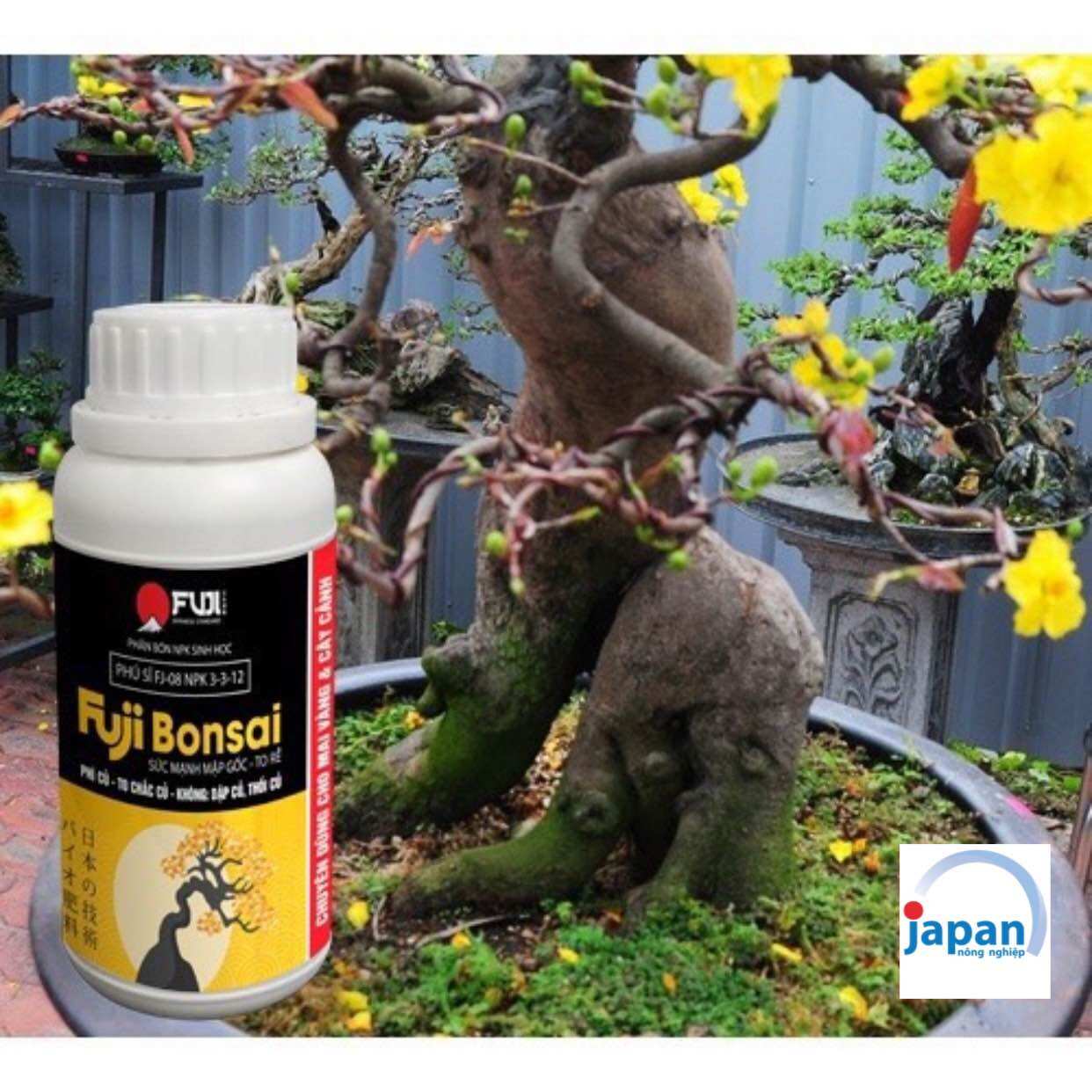 Phân bón to gốc nở củ mai vàng fuji bonsai - to gốc - nở củ - lớn rễ 250ml