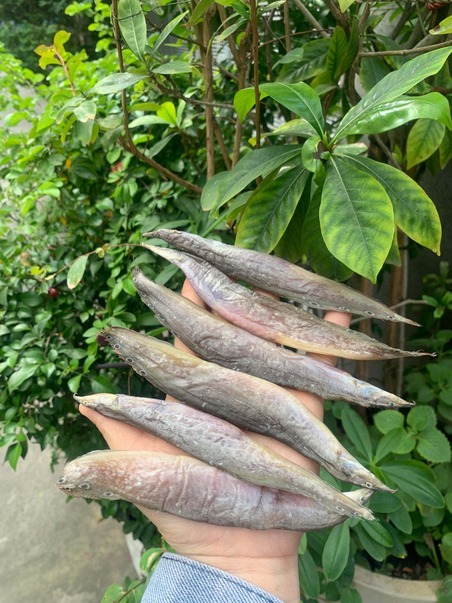 KHÔ CÁ CHẠCH LỠ HÀNG LẠT BAO KHÔ