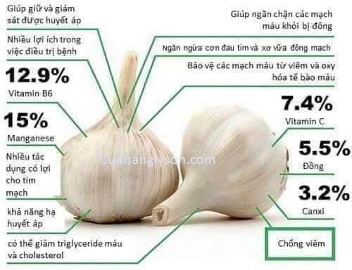 TINH CHẤT TỎI PLUS LAN CHI
