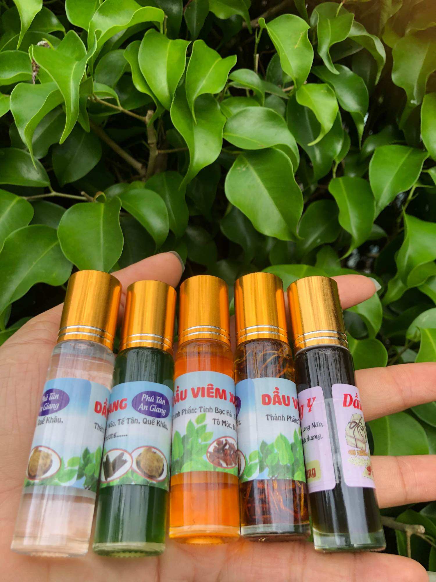 Dầu viêm xoang vàng 10ml