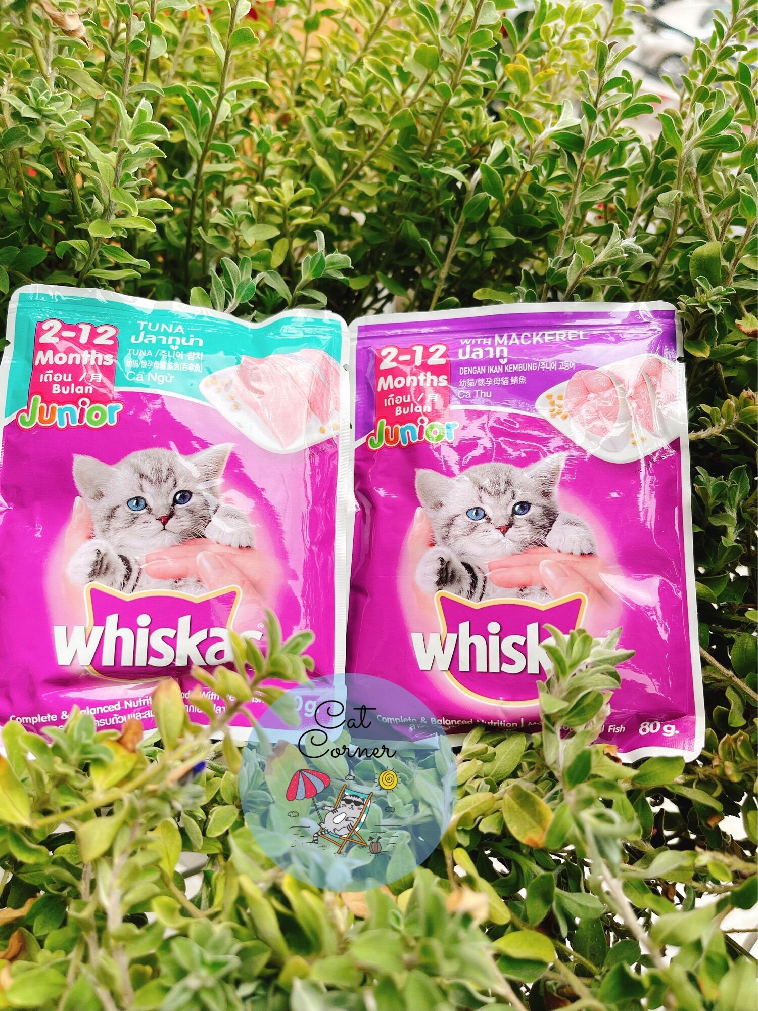 Pate whiskas dành cho mèo con gói 80g