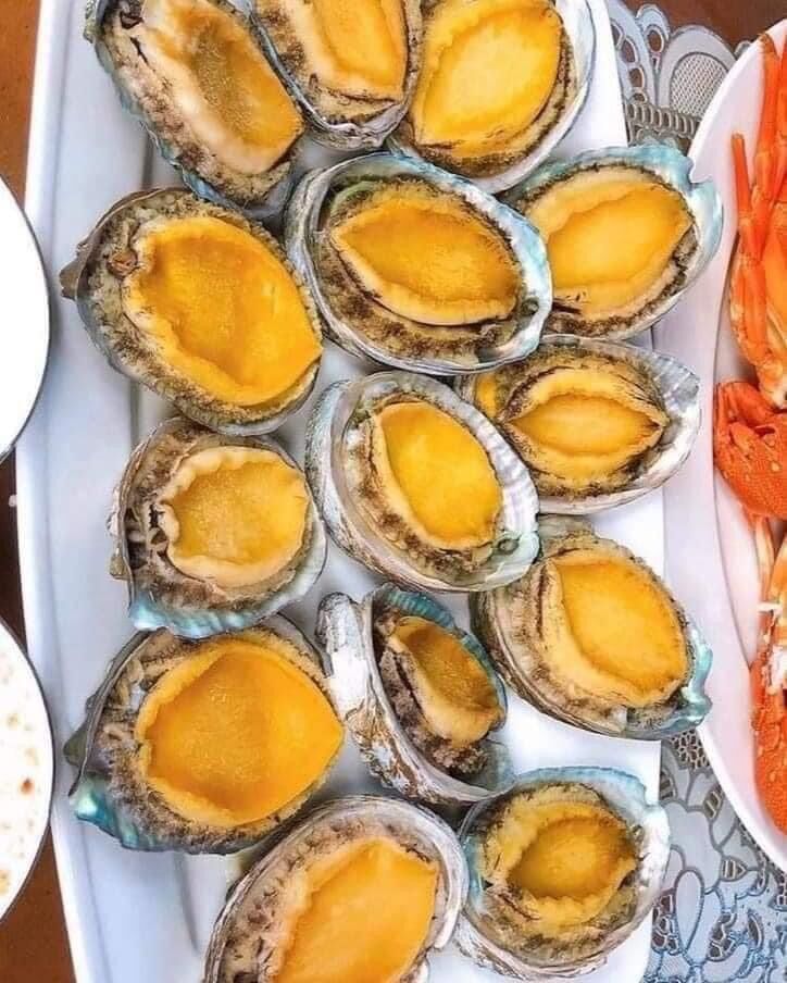 0,5kg Bào ngư Hàn Quốc (size 9-10 con/0,5kg) GIAO LIỀN