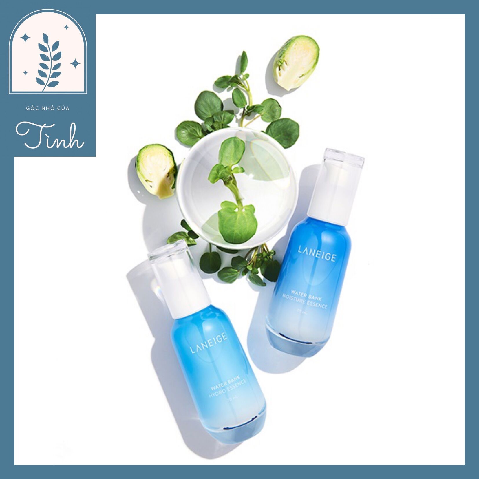 TINH CHẤT DƯỠNG ẨM LANEIGE WATER BANK HYDRO ESSENCE 30ML & 70ML