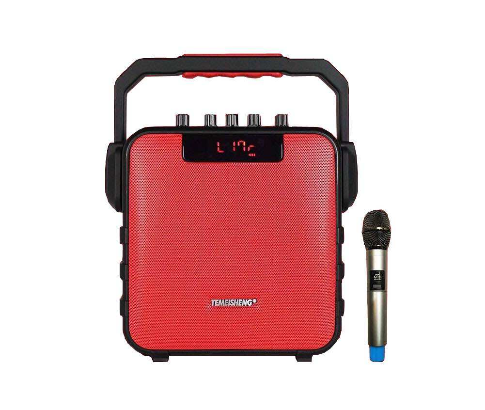 [HCM]Loa karaoke Temeisheng SL05-26