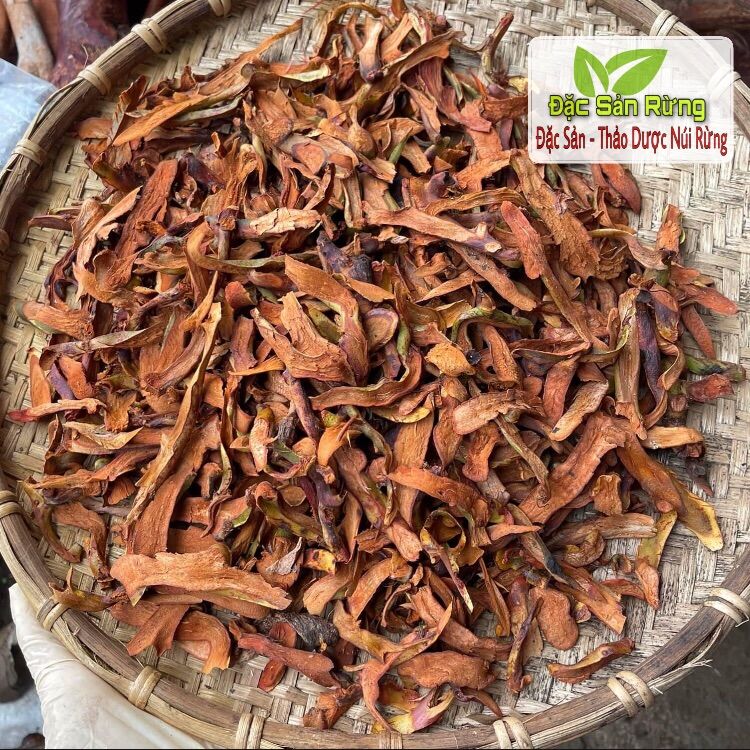 [ 100gr ] Cốt Toái Bổ ( củ Tắc Kè Đá ) Khô Thơm - Vàng Đẹp