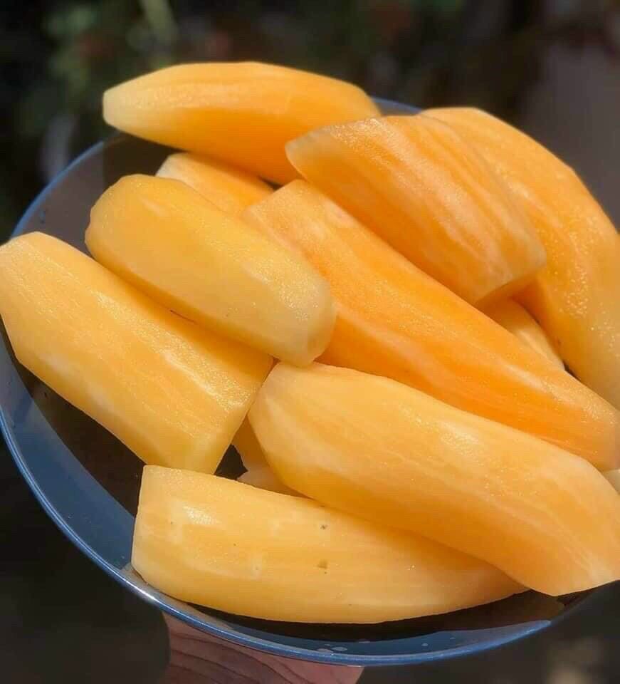 Combo 3kg KHOAI SÂM ĐẤT Lào Cai ăn sống (củ 4-5củ/1kg)