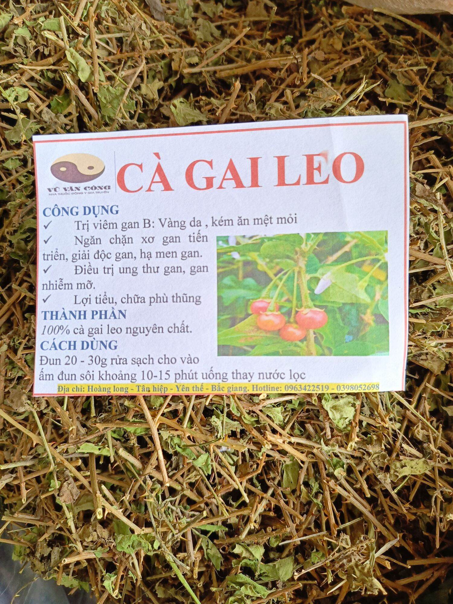 Cà gai leo 1 kg khô sạch
