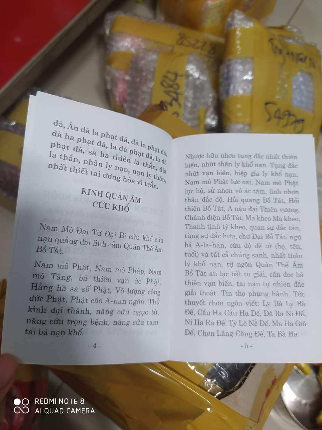 Kinh Bạch Y Cứu Khổ