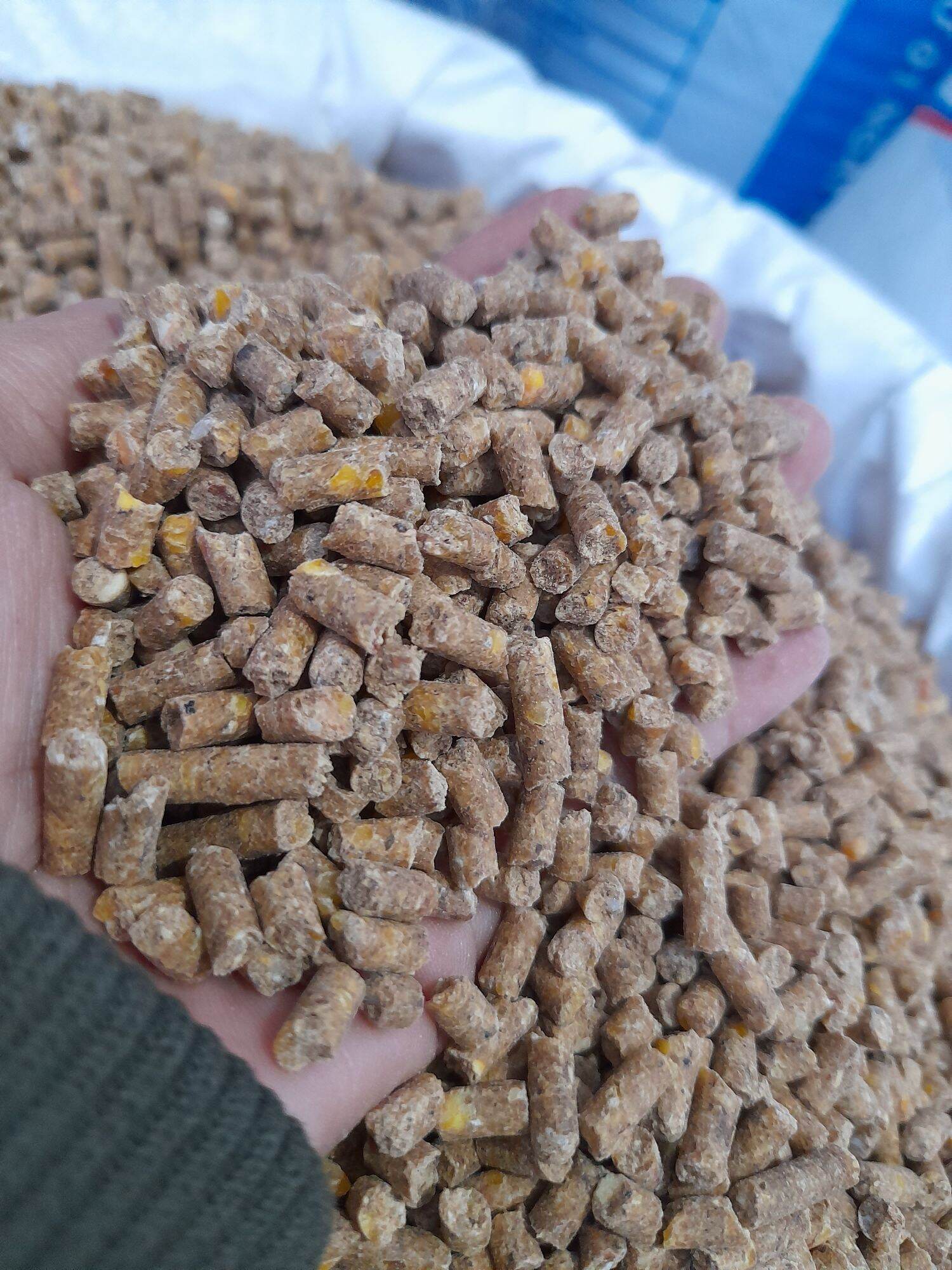 Cám gà đẻ 1kg