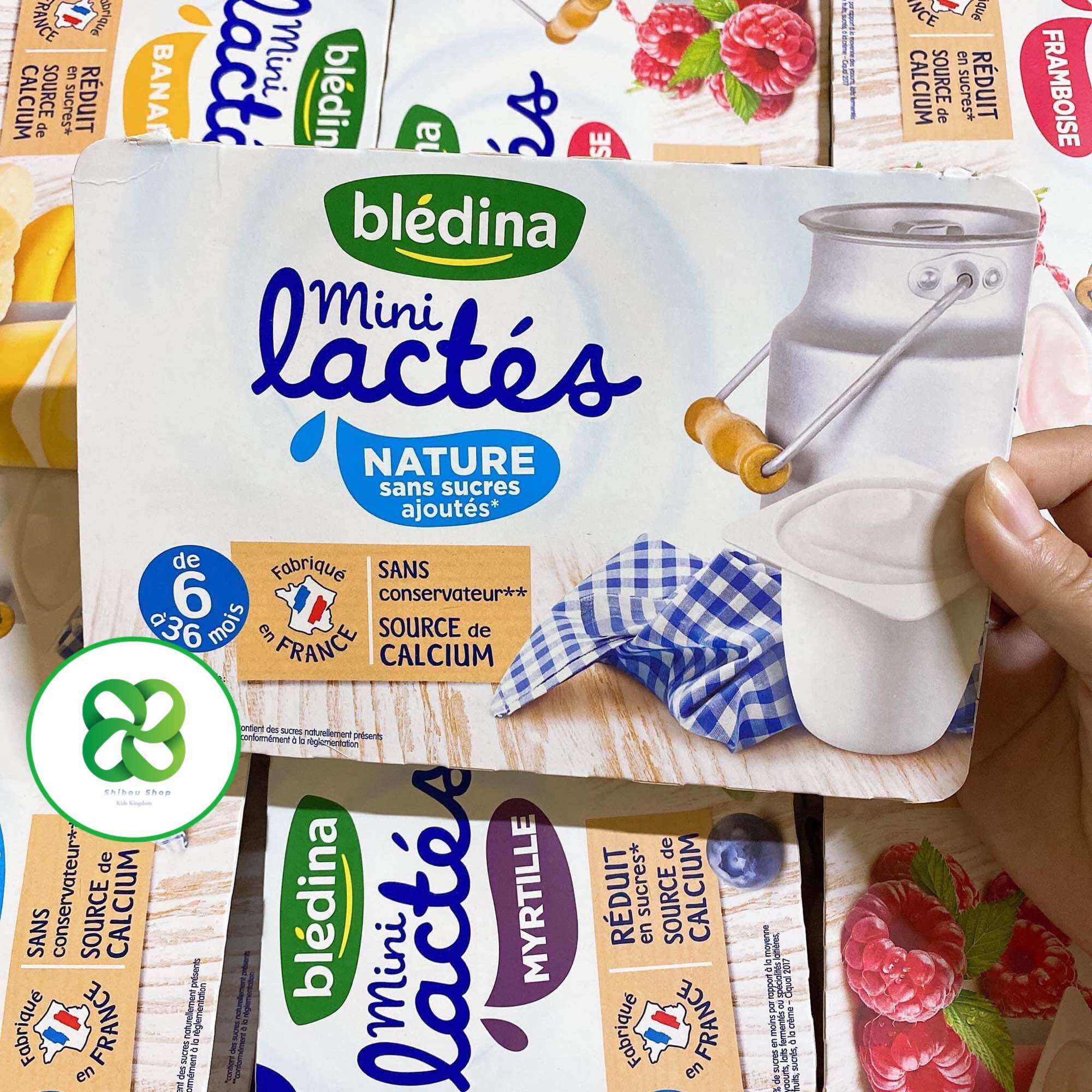 SỮA CHUA BLEDINA MINI LACTES NHIỀU VỊ