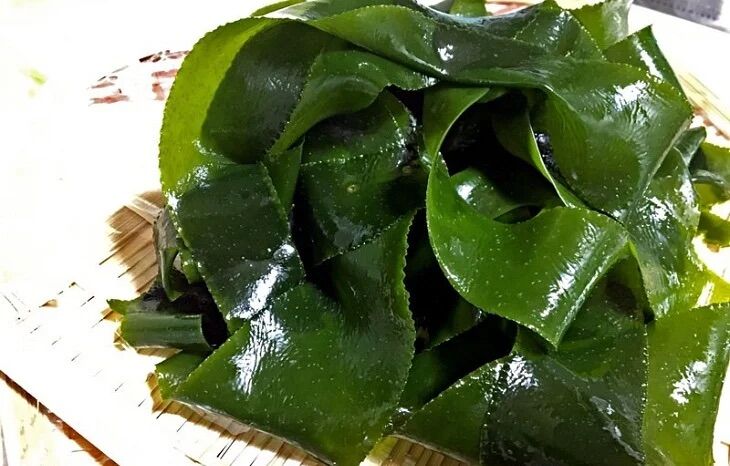 Phổ tai còn nguyên lá ( rong biển ) 500g