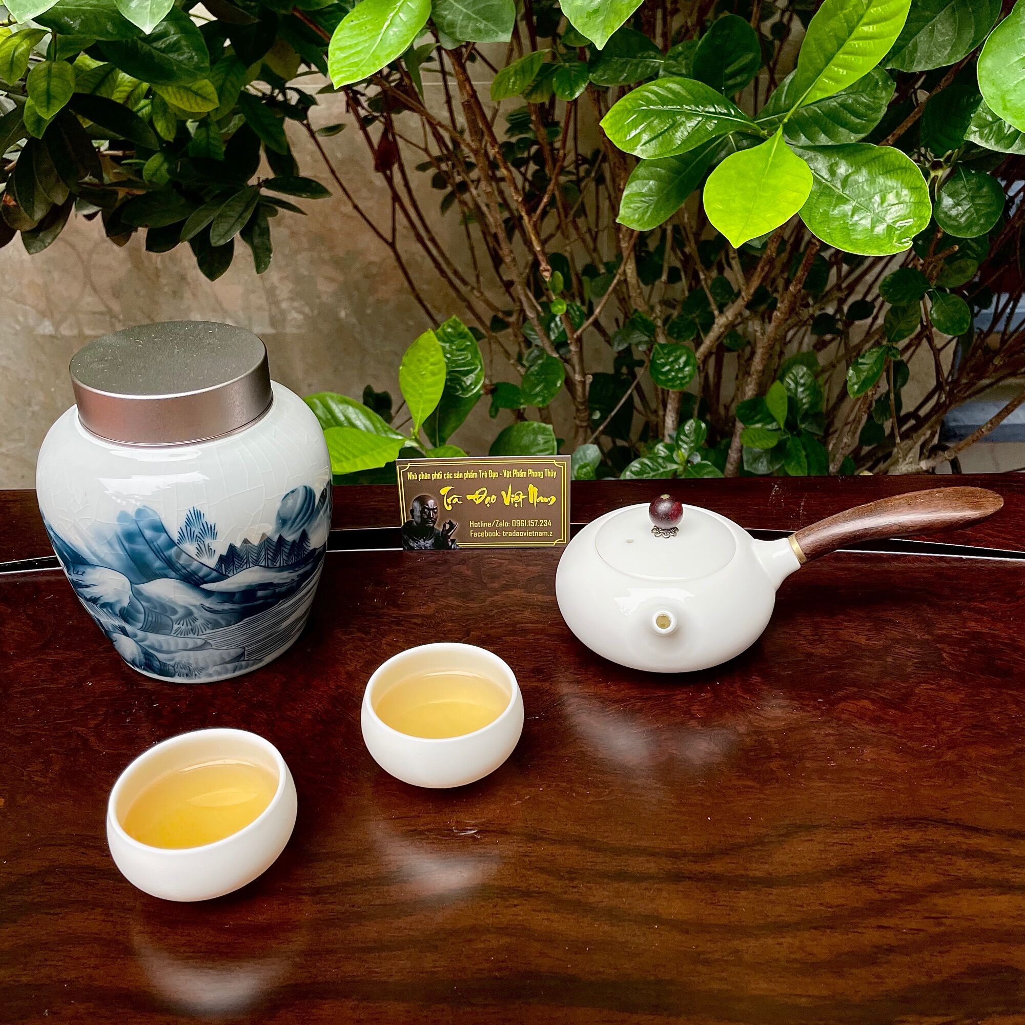 Ấm trà sứ quai gỗ kiểu Nhật - sứ Bạch Định