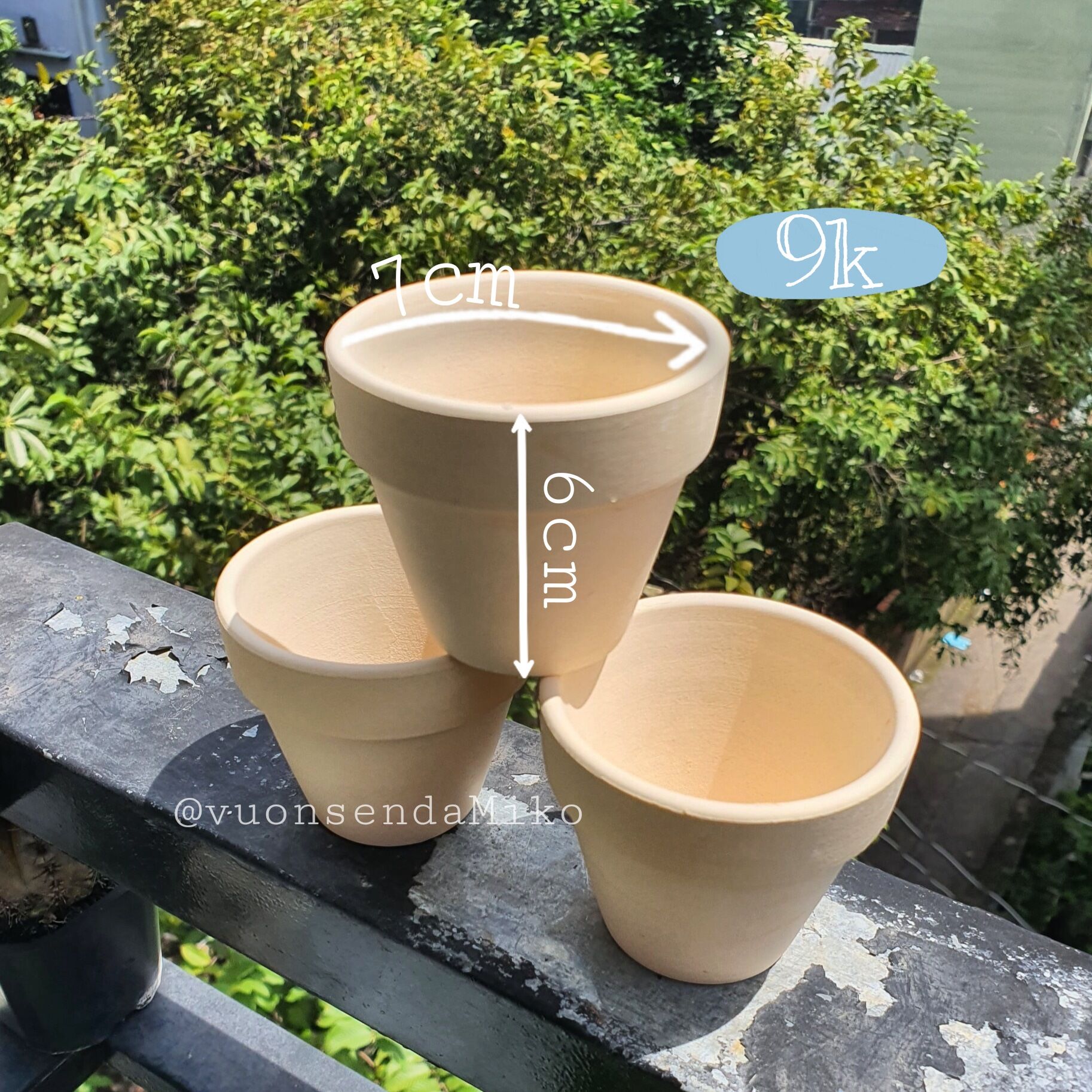 Combo 5 Chậu đất nung trắng trồng Sen Đá và Xương Rồng size 7cmx6cm