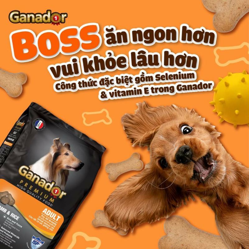 Combo 5 gói Thức ăn cho chó lớn vị thịt cừu 400g
