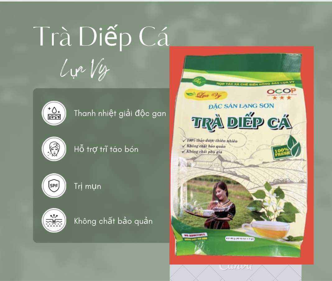 Trà Diếp Cá Lụa Vy 40 túi lọc. Thanh nhiệt, mát gan