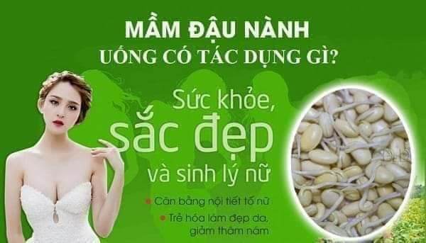 Mầm Đậu Nành Tăng Vòng 1 Queen Beauty