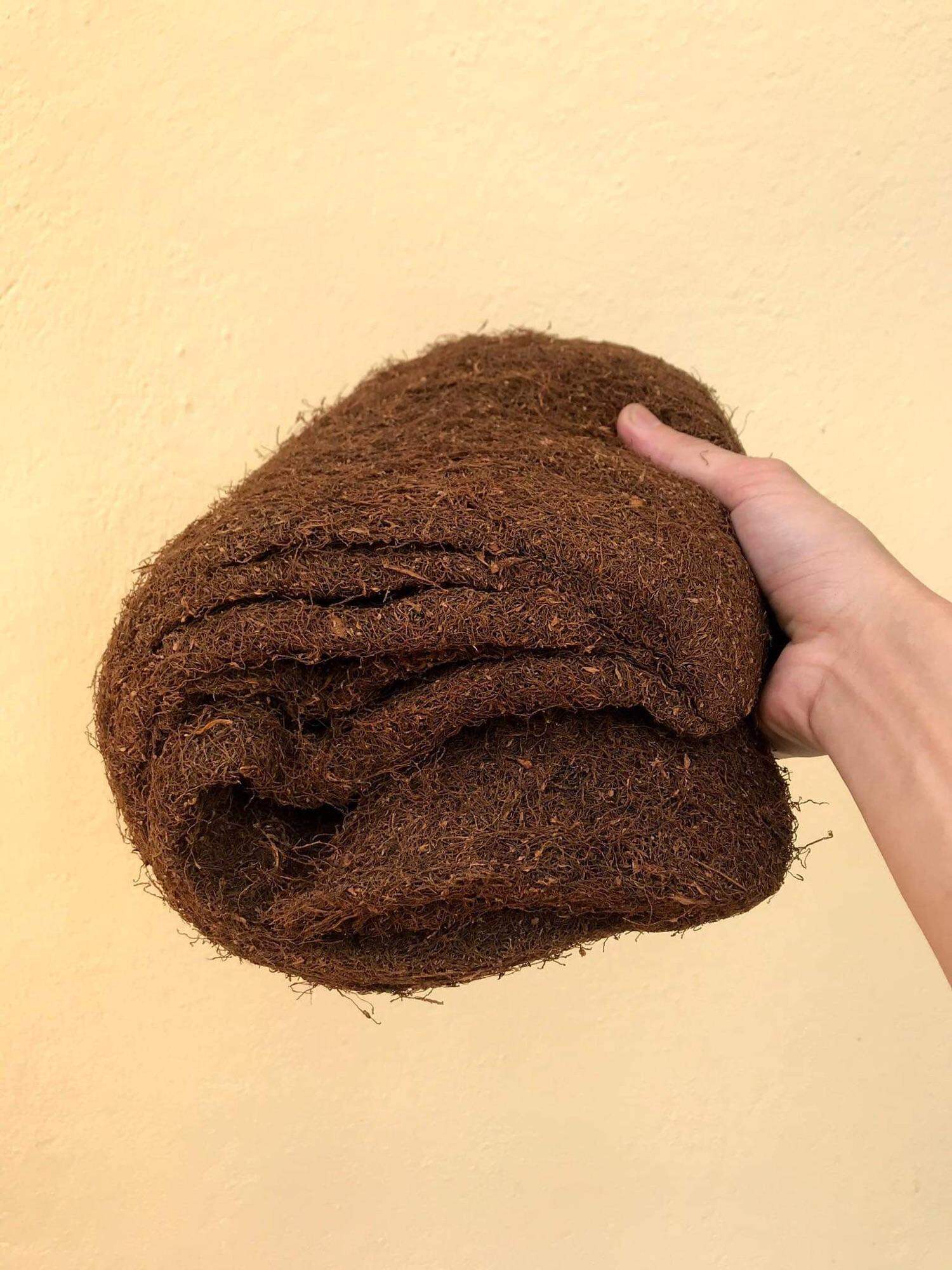 Đặc sản 36 thanh hoá