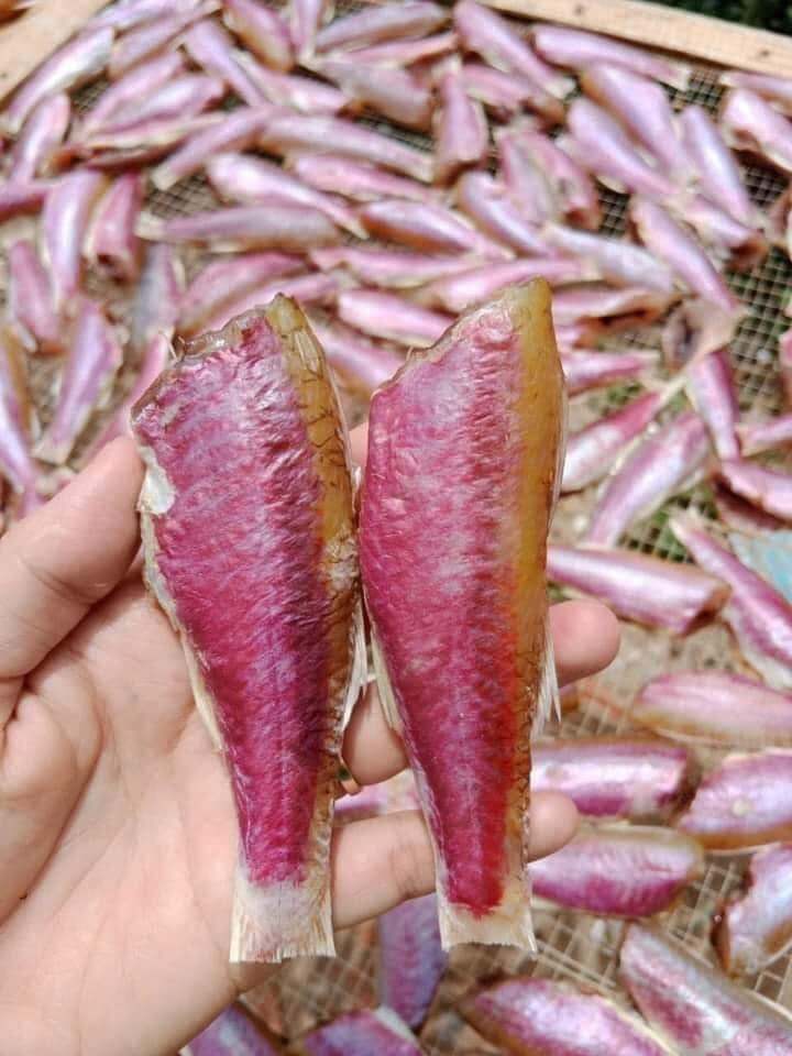 0,5kg Cá phèn hồng 1 nắng (hoả tốc 2h Tphcm)