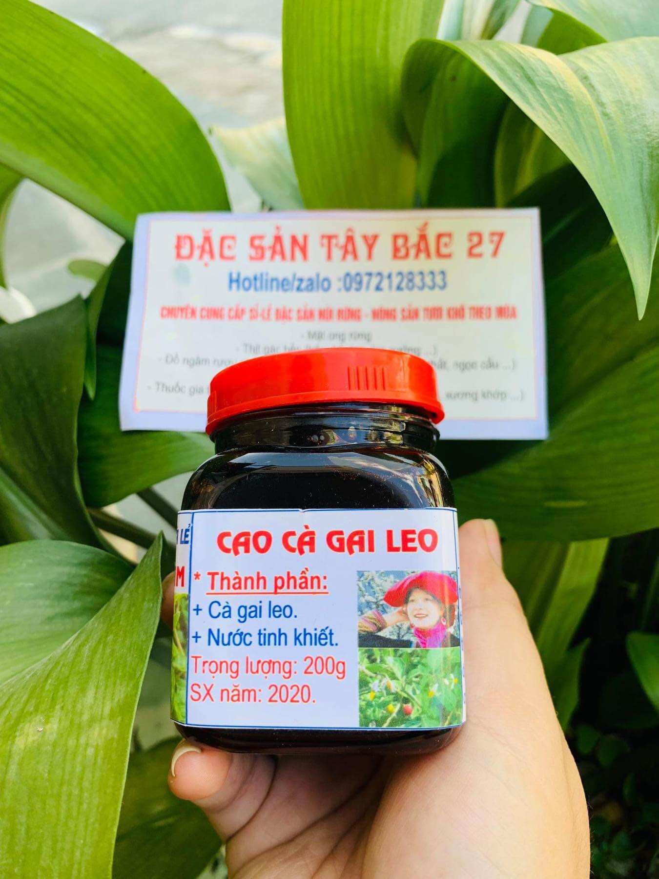 Cà gai leo 200gr dạng cao cô đặc tinh chế giải độc gan hiệu quả, Cao cà gai leo nguyên chất- đặc sản tây bắc 333