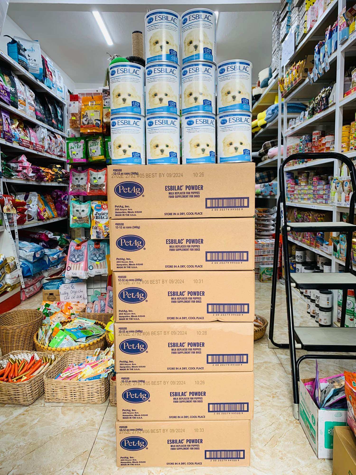 [Giá siêu Hot] [Bao bì mới] Sữa bột dành cho chó sơ sinh Esbilac Powder 340g (Date 6/2025)