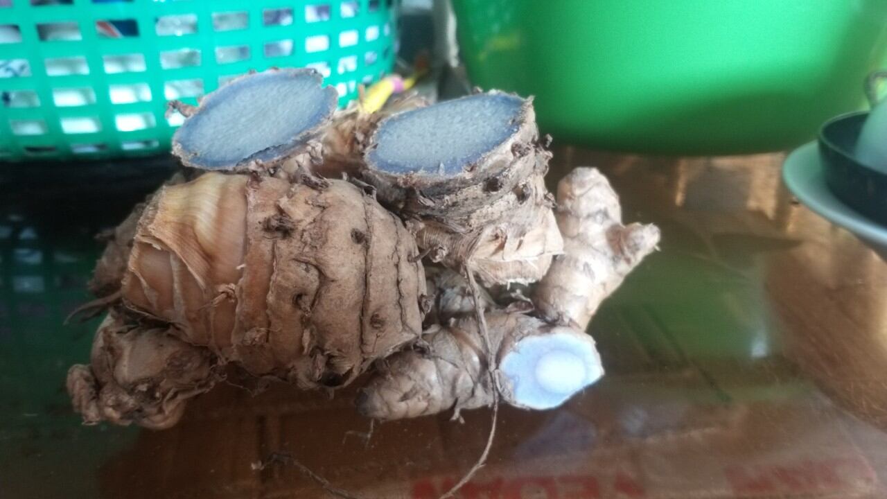 củ nghệ đen tươi 1kg