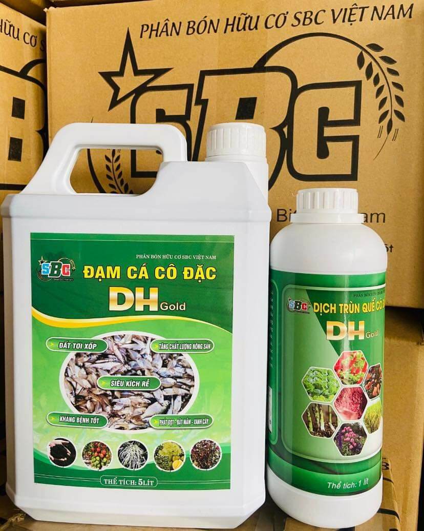 Combo đạm cá 5 lít và 1 lít trùn quế DH Gold chính hãng SBC