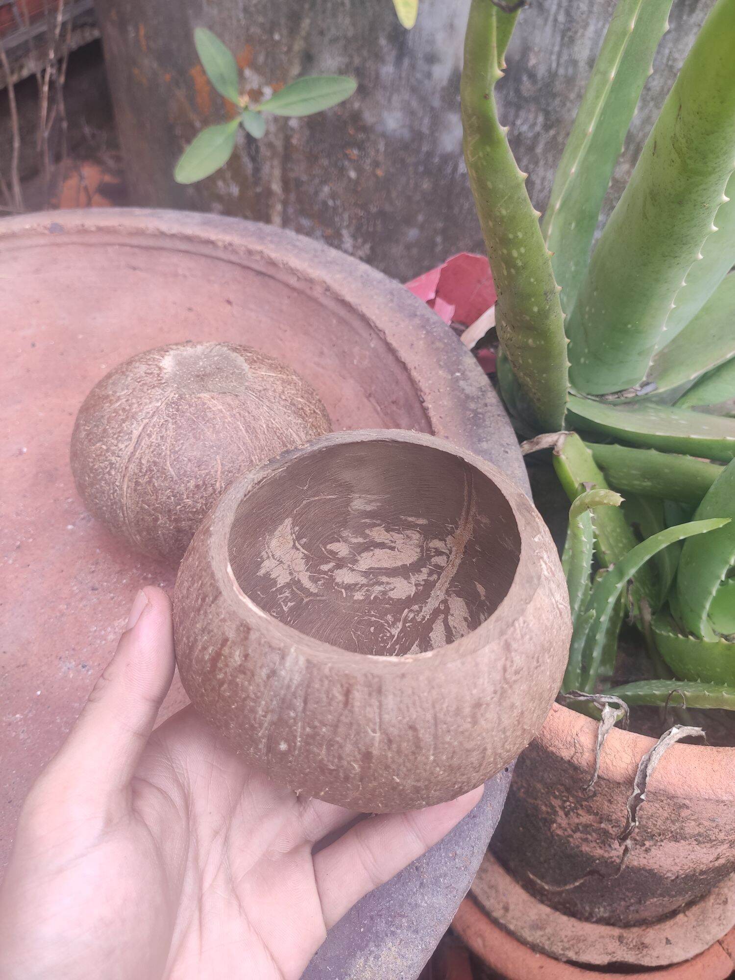 Gáo dừa làm nến dụng cụ đựng nến bằng gáo dừa