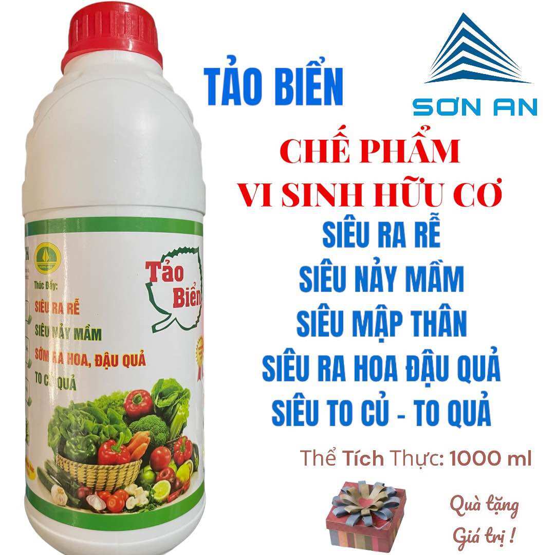 TẢO BIỂN ( Chai 1 lít): Chế phẩm vi sinh hữu cơ chiết xuất từ tảo biển thúc đẩy siêu ra rễ, siêu nảy mầm, sớm ra hoa, đậu quả, to củ quả + QT