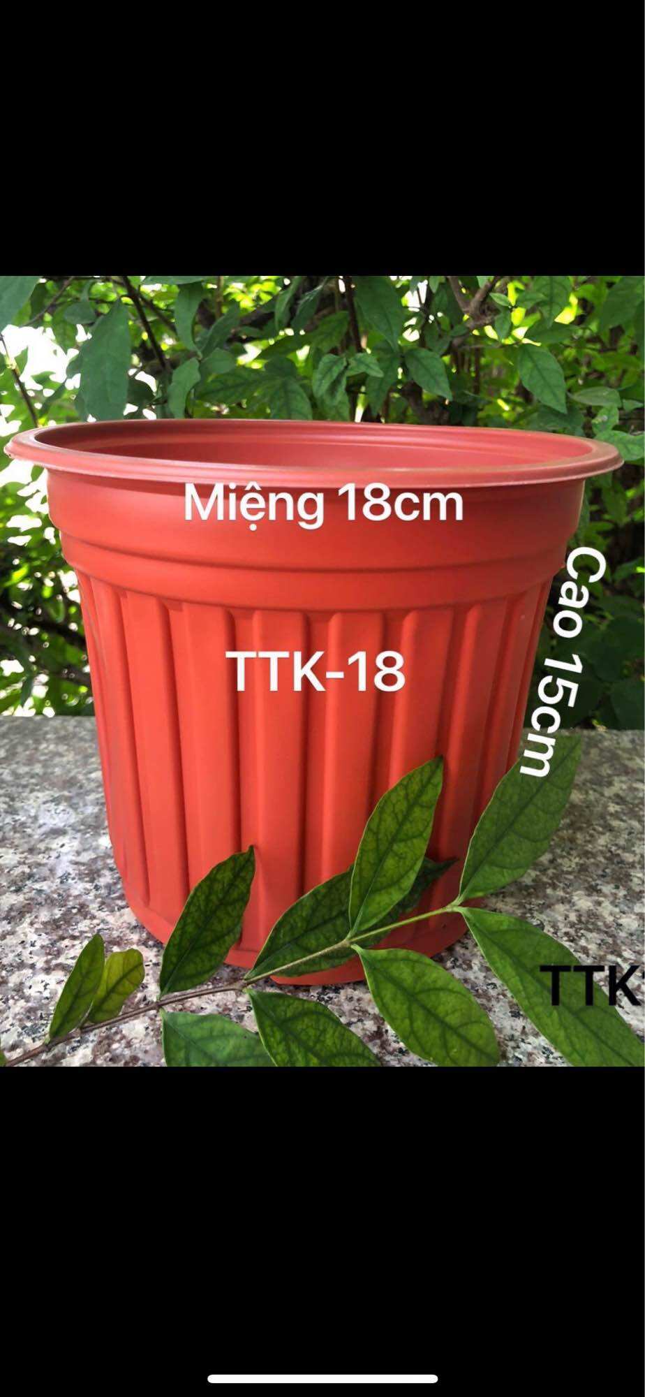 Chậu nhựa trồng cây 30 cái TTK18 vành cứng màu nâu đất
