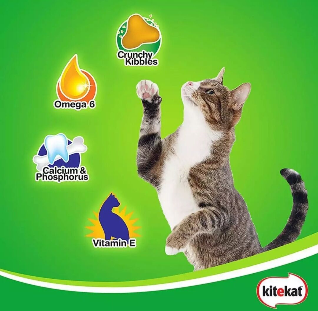 Thức ăn hạt KITEKAT cho mèo vị Cá ngừ 1.4kg
