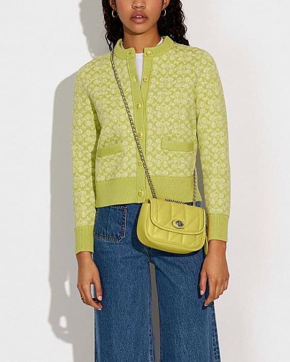 Túi C0ach Pillow Madison Shoulder 18 màu sắc