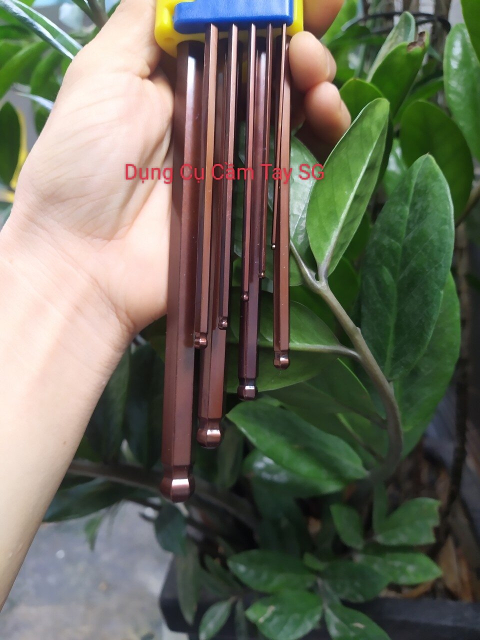 Bộ lục giác Bi Nâu cao cấp LS+