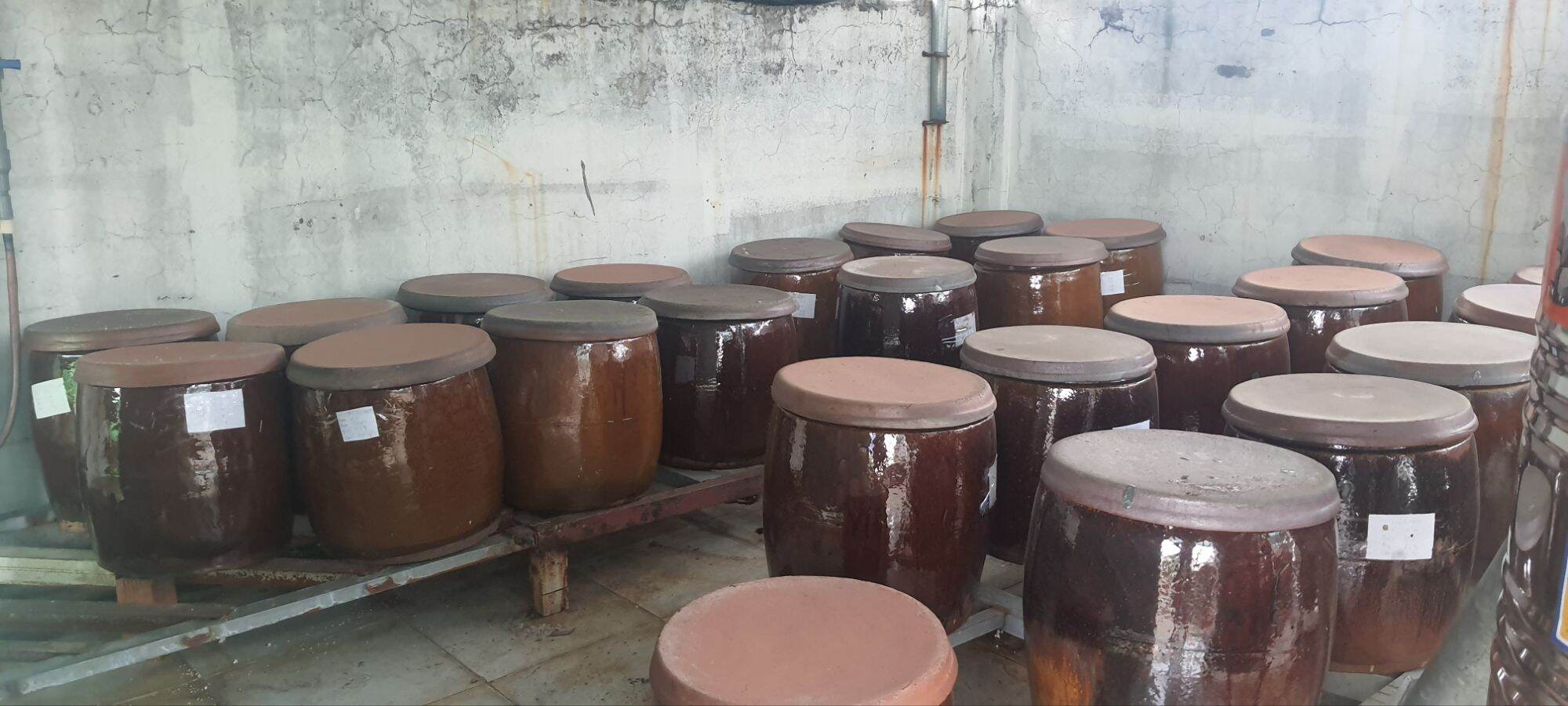 Giấm gạo nuôi truyền thống (chai 500ml)