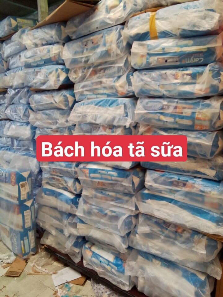 Tả dán người lớn Caryn size L 20 miếng (Vòng hông 68-122cm)