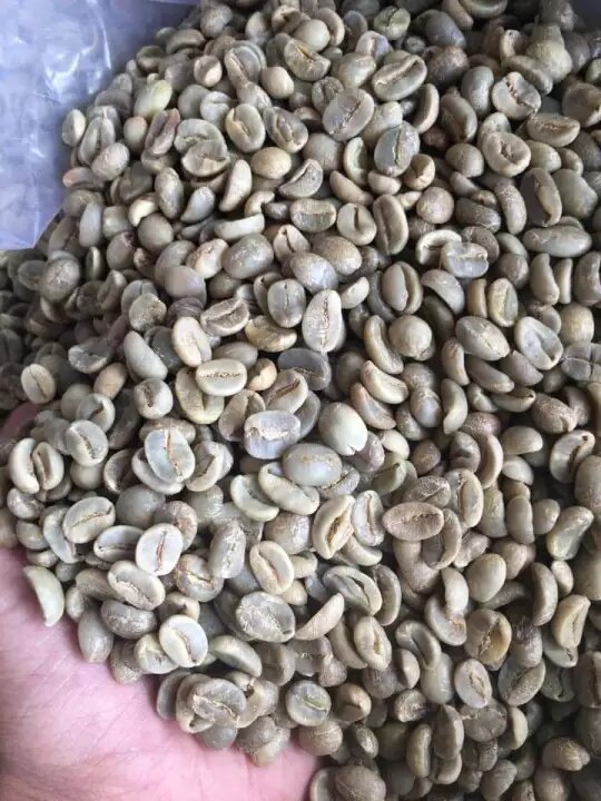 Nhân cà phê arabica cầu đất chất lượng cao (600g) (namlongshopxin)