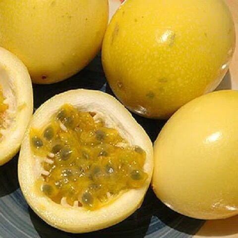 Cây giống Chanh leo vàng ngọt