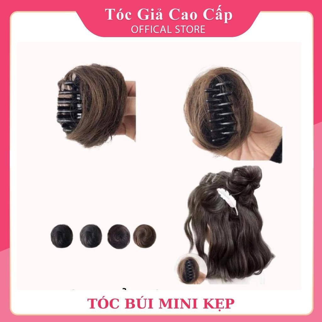 Búi mini dạng kẹp gắp B009