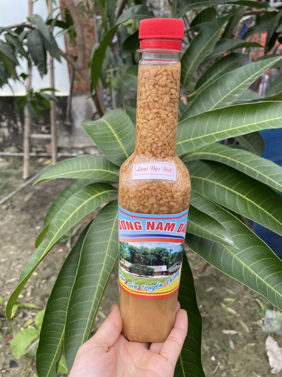 Đặc sản truyền thống Tương Nam Đàn . Chai 500ml