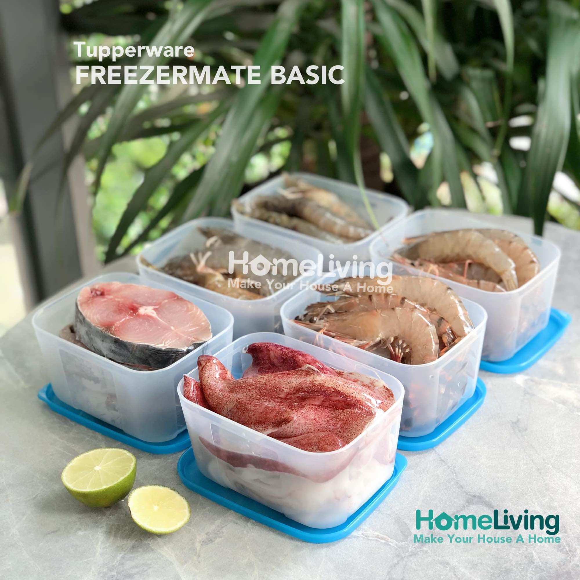 Bộ 6 hộp Trữ Đông Freezermate 650ml