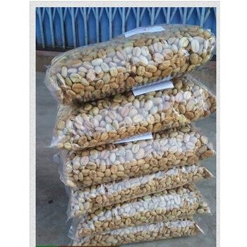 HẠT GIỐNG CÀ PHÊ DÂY THUẬN AN [ 1 KG  HẠT TUYỂN CHỌN BAO NẢY MẦM] CÓ BẢO HÀNH.