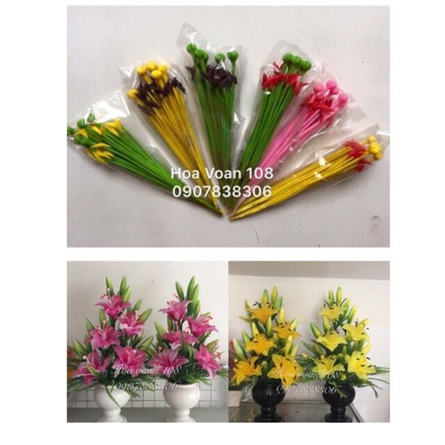 Lily bộ đát sét