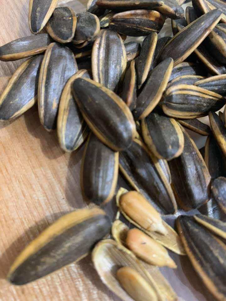 100gr hạt hướng dương