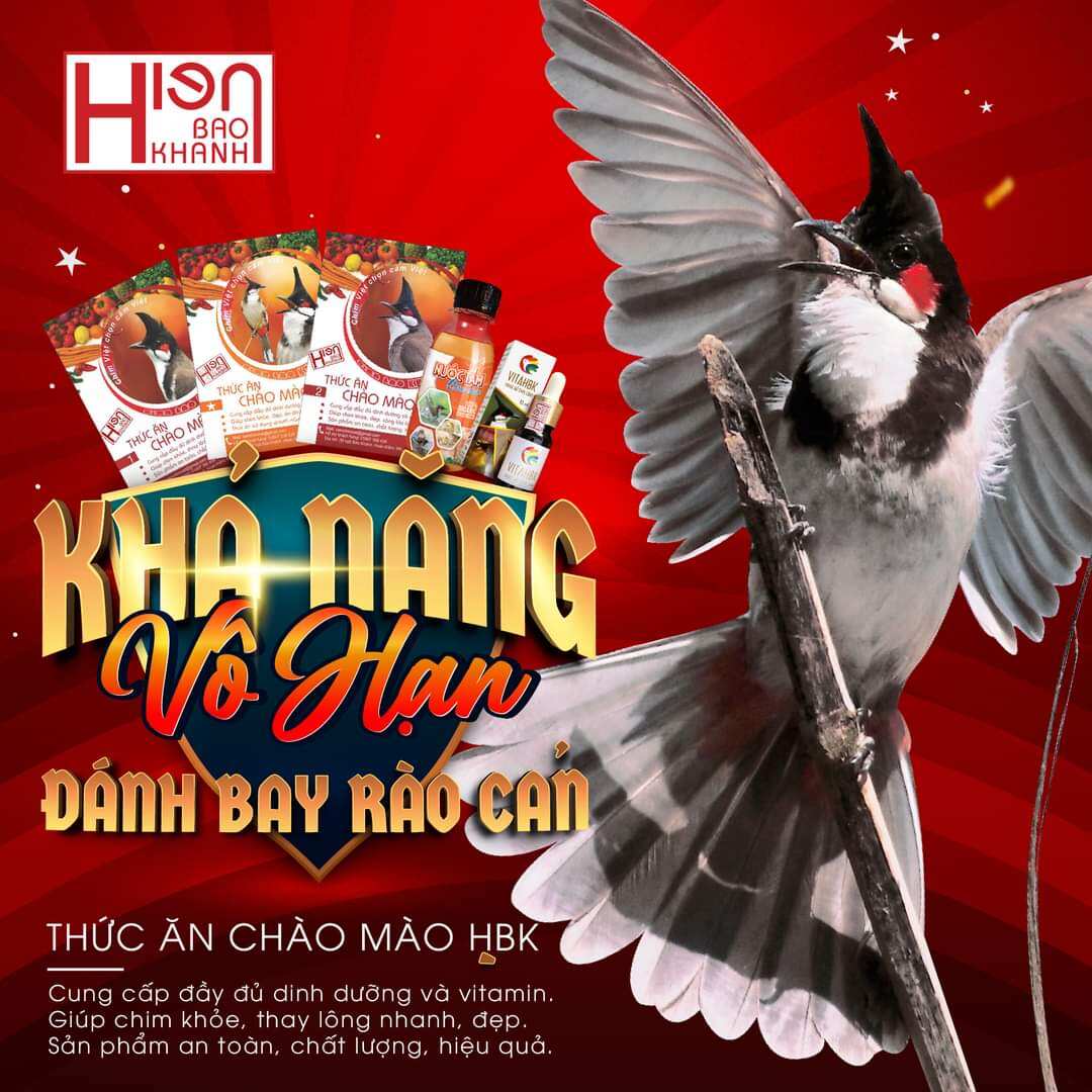 Cám chim Chào Mào số 2 Hiển Bảo Khánh