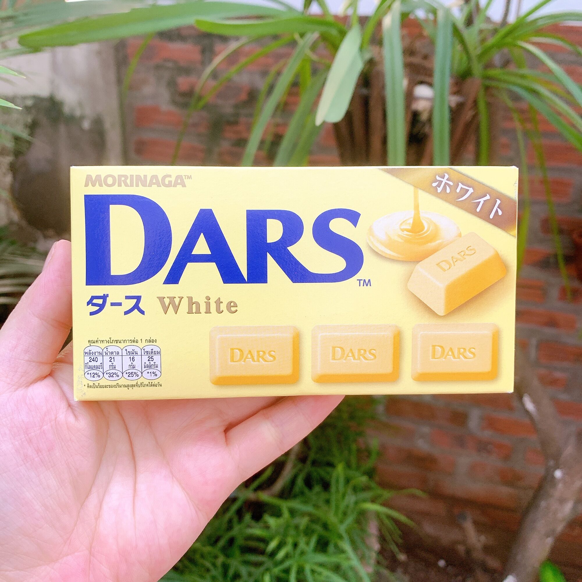 Socola Morinaga Dars 5 Vị hàng chuẩn 42g(12 viên/hộp)